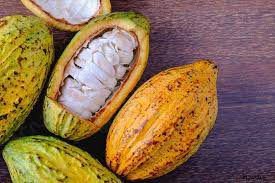  Côte d’Ivoire : le prix du café-cacao pour la saison 2024-2025 annoncé