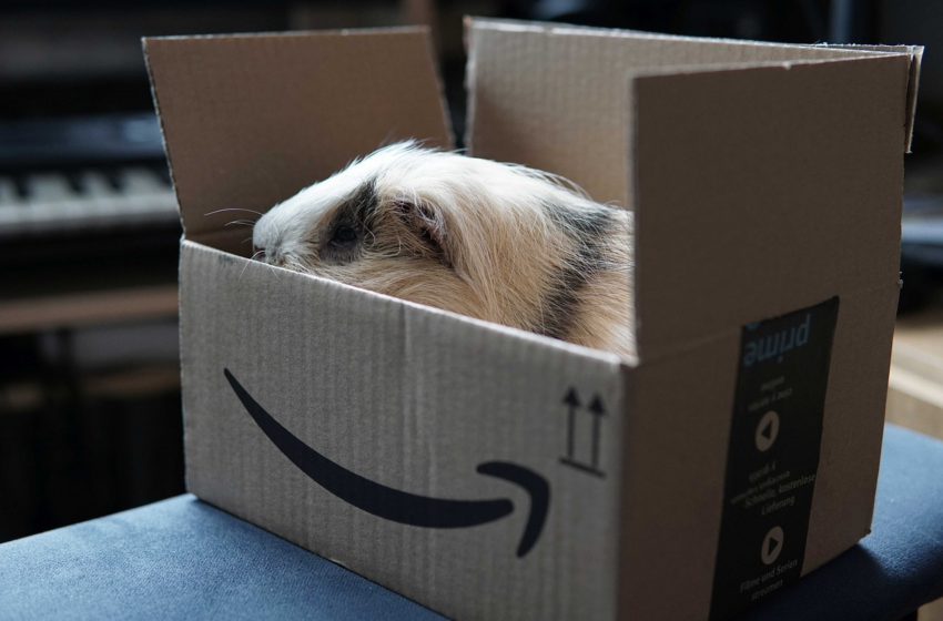  Découvrez comment Amazon Prime simplifie votre vie quotidienne