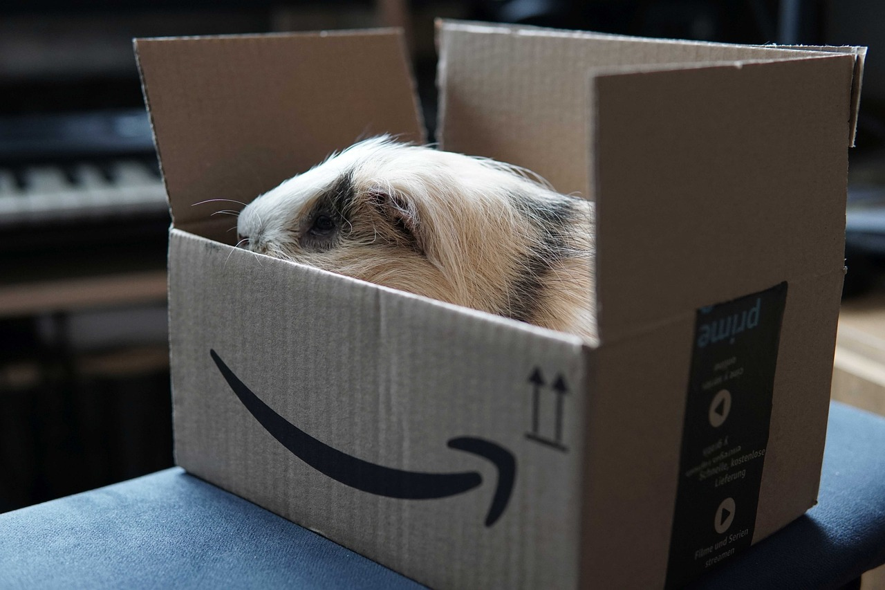 Découvrez comment Amazon Prime simplifie votre vie quotidienne