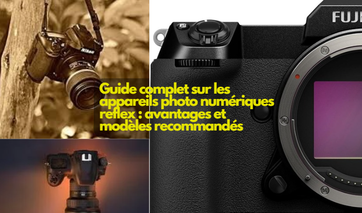  Les appareils photo numériques professionnels : un investissement pour les passionnés de photographie