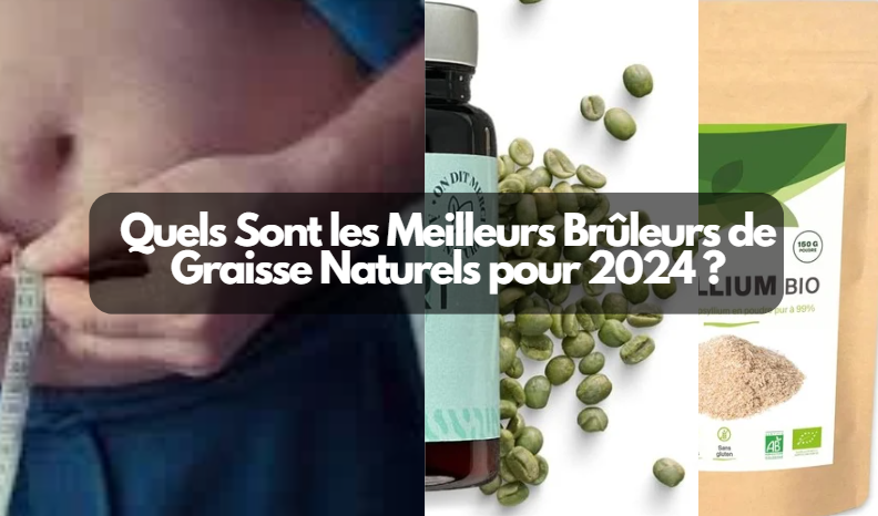  Quels Sont les Meilleurs Brûleurs de Graisse Naturels pour 2024 ?