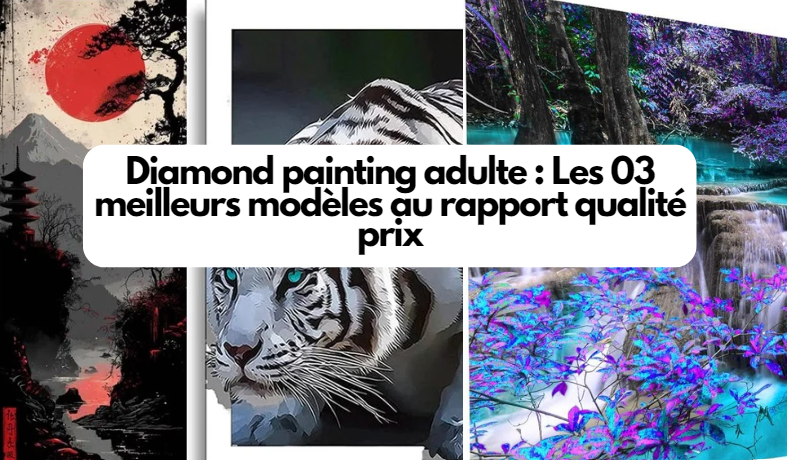  Diamond painting adulte : Les 03 meilleurs modèles au rapport qualité prix