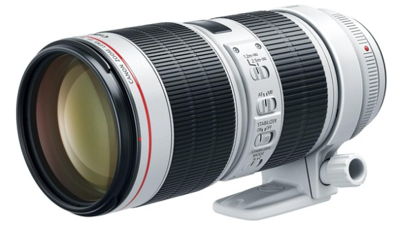 Guide Complet sur les Objectifs Canon EF : Tout Ce Que Vous Devez Savoir