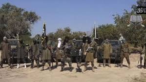  Quinze Combattants de Boko Haram se Rendent au Nigeria