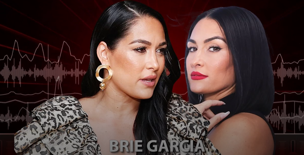 Brie Garcia s’exprime sur le "trauma" au milieu du divorce de sa sœur Nikki