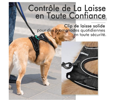 Harnais Anti-Traction rabbitgoo pour Chien : Sécurité et Confort Assurés