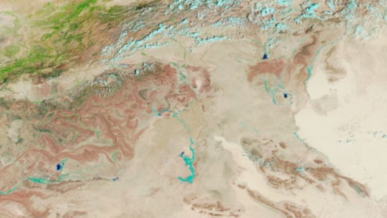  Le désert du Sahara se métamorphose sous un manteau de verdure grâce à des pluies inhabituelles