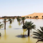 Images des rares inondations dans le désert du Sahara qui n'ont pas eu lieu depuis 50 ans