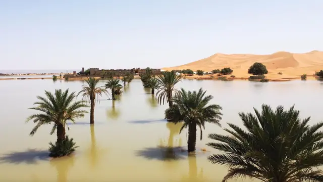  Images des rares inondations dans le désert du Sahara qui n’ont pas eu lieu depuis 50 ans