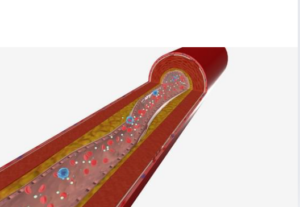 Voici comment booster son taux de collagène simplement et avoir moins de rides