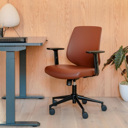 Branch Chaise de Bureau Ergonomique : Alliez Confort, Style et Productivité