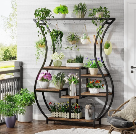 Sélection de Plantes d'Intérieur Faciles d'Entretien : Transformez Votre Maison avec Simplicité