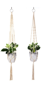 Sélection de Plantes d'Intérieur Faciles d'Entretien : Transformez Votre Maison avec Simplicité