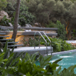 Quelles plantes pour une piscine naturelle ? Le guide complet 2025