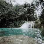 Piscine naturelle vs piscine au sel : Le duel ultime 2025