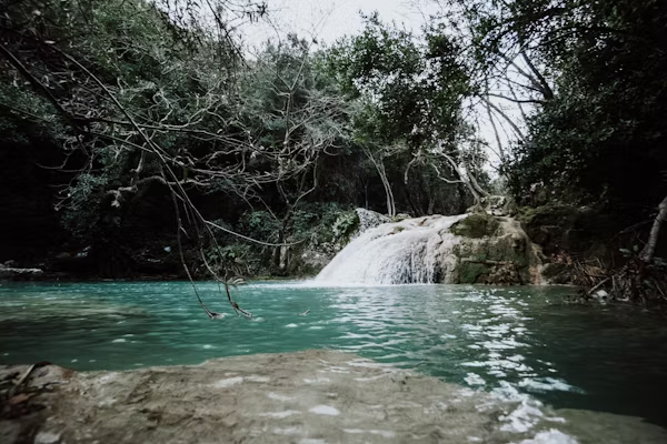 Piscine naturelle vs piscine au sel : Le duel ultime 2025
