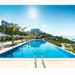 5 Plantes Filtrantes Indispensables pour une Piscine Écologique (Guide Expert 2025)