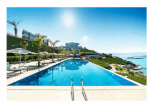 5 Plantes Filtrantes Indispensables pour une Piscine Écologique (Guide Expert 2025)