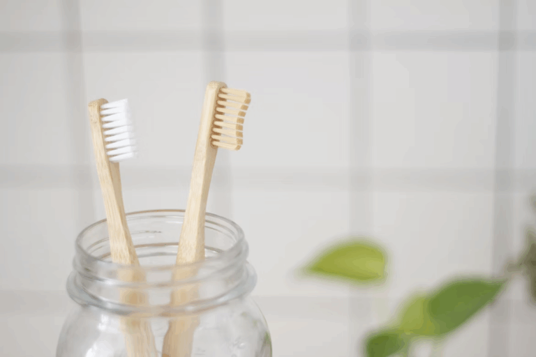 Top 5 Brosses à Dents en Bambou les Plus Solides