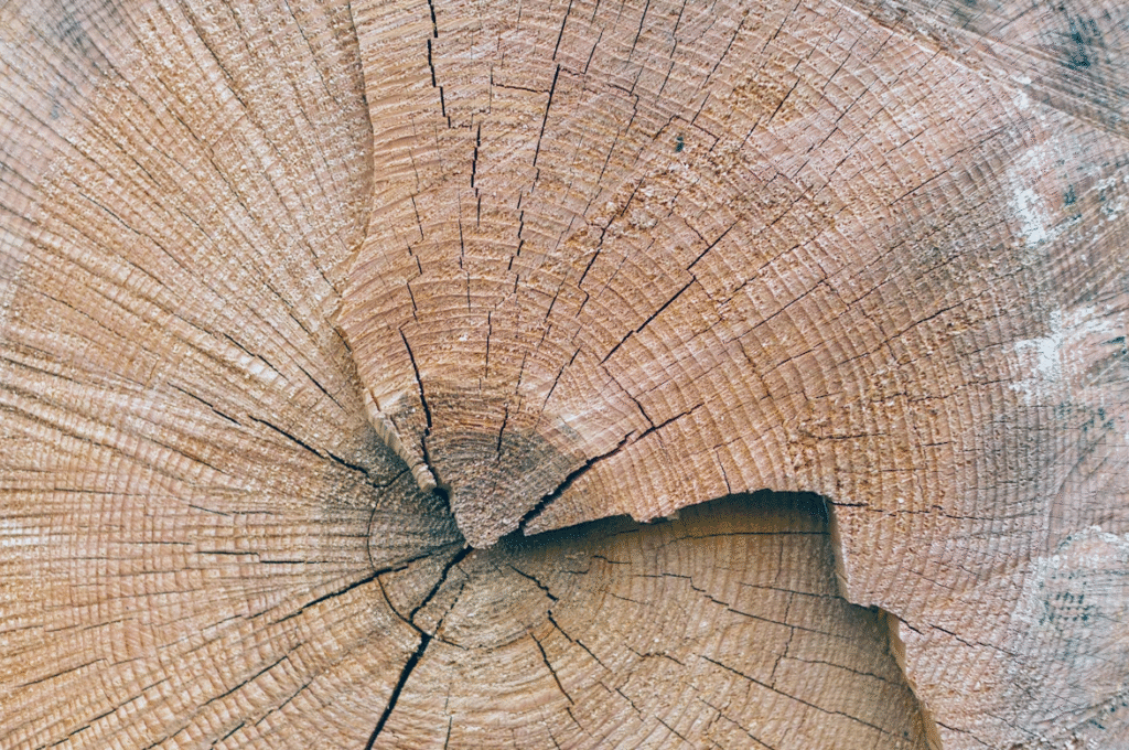 Saturateur Bois : Lequel Choisir ? Guide Complet & Comparatif 2025